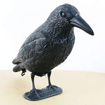 little finger Garden Decor Crow Decoy, Plastic Simulated Crow Decoy Garden Bird Scarer Mice Pest Control Deterrent - Black