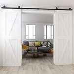 WOLFBIRD Sliding Barn Door Kit Double Door Track System Basic Black Closet Hardware 10FT/304CM Heavy Duty T Roller