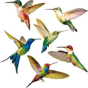 Blulu Adesivi per Finestra Colibrì Adesivi Anticollisione Decalcomanie per Prevenire l'Uccello Scioperi sul Vetro della Finestra Adesivi per Colibrì Non Adesivi in Vinile (6 Pezzi)