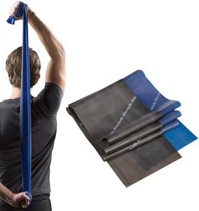 TheraBand Resistance Band Set, Professional Latex Elastic Bands for Upper & Lower Body & Core Exercise, Physical Therapy, Lower Pilates, At-Home Workouts, and Rehab, Blue & Black, Advanced