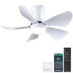 Modern Ceiling Fans White