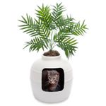 Good Pet Stuff, The Original Hidden Litter Box Starter Kit, Round Enclosed Cat Litter Box Planter with Artificial Plants, Vented Carbon Odor Filter System, Florist Moss, Easy to Clean, White Birch