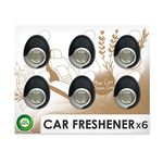 House Air Freshener For Vents