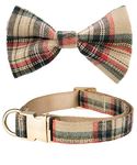 Dashin' Dogz Plaid Bowtie Dog Collar with Removeable Bow, Scottish Tartan Dog Collar with Bow, (Large, Beige)