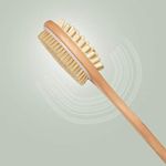 Cellulite Brushes