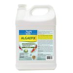 API POND ALGAEFIX Algae Control Solution 1-Gallon Bottle