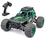 RC Car for Adults, High Speed Remote Control Car for Adults 4WD Off-Road Monster Truck, RC Trucks with Two Rechargeable Batteries for Boys & Girlsr (Green)