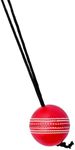 Naqqash Sports Willow Cricket Hanging Ball for Bat Knocking and Practice, 1 Hard Ball