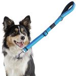 PETBABA Short Dog Leash, 3ft Heavy Duty Reflective Adjustable Strong Lead, Soft Padded Traffic Handle, for Walking Training Medium Large Dog That Pull - Blue