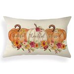 Ogiselestyle Pumpkin Lumbar Throw Pillow Cover 12 x 20 Inch Autumn Thanksgiving Farmhouse Harvest Cushion Case Decoration for Sofa Couch