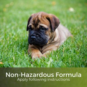 Garden Lawncare Guy Autumn/Winter Lawn Fertiliser – Fast Acting, Pet Safe