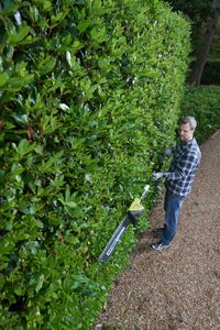 RYOBI ONE+ 18V Pole Hedge Trimmer – Cordless Garden Tool