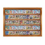 PENNZONI Baseball Card Display Case - Sports Card Display Frame Lockable - 50 Ungraded Cards Case with UV Protection, Pokemon Card Display for Football & Basketball | Trading Card Display, Walnut