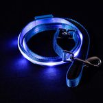 Blazin' Safety LED Dog Leash - USB Rechargeable Flashing Light, 4 Ft, Water Resistant – Lightweight (S, Blue)