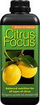 2 X Citrus Focus Balanced Concentrated Liquid Fertiliser 1 Litre