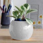 UGAOO Football Ceramic Pot (White)