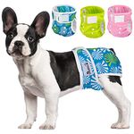 Eyein 3 Pack Reusable Dog Nappies female, Machine Washable Dog Period Pants, Sanitary Dog Diapers with Adjustable Buttons, Highly Absorbent Dog Heat Pants for Leak Proof Protection, X-Small