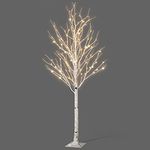 Netta 6FT Birch Twig Tree with 160 Warm White LED Lights, Auto-Off Timer and 8 Lighting Modes, 3M Power Cable, Suitable for Indoor or Outdoor Use - White