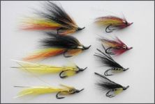 8 Pack of Double Hook Salmon Flies, Choice (SFB3) (All Mixed)