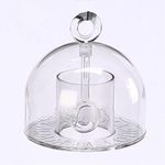 Birds Choice DETOURANT Ant Moat Detterant, Deterrant Ant Guard for Hummingbird & Oriole Feeders, 13", Clear