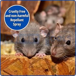Dunnet Tools Rodent & Insect Repellent, 20L – Pest Control Solution