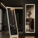 Full Length Mirror with LED Lights,