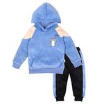 Bold N Elegant Cute Hamster Cartoon Warm Velvet Pullover Sweatshirt Hoodie Tshirt and Pyjama Pant Winter Clothing Set for Infant Toddler Kids (Aqua Blue, 2-3 Years)