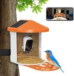 Oneware Wild Bird Feeder Camera, Sm