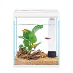 Pronetcus Betta Fish Tank, 2 Gallon Glass Aquarium Starter Kit, Small Fish Tank with Filter and Light.