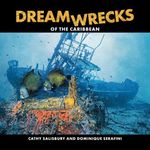 Dreamwrecks of the Caribbean: Diving the best shipwrecks of the region