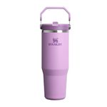 Stanley 1913 Flip Straw Tumbler Water Bottle with Straw 0.89L - Keeps Cold for 12+ Hours - Easy to Carry - Dishwasher Safe - Stainless Steel Thermal Flask - BPA-Free Travel Mug - Lilac