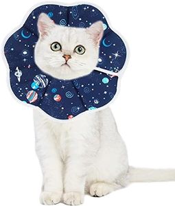 KIKNIN Cat