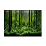 Forest Tank Aquarium Poster, PVC Adhesive Underwater Forest Tank Background Poster Backdrop Decoration Paper(91 * 50cm) Decor Background