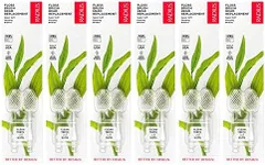 RADIUS Toothbrush Replacement Brush Heads 2-Count Improve Gum Health & Reduce Gum Issues - Super Soft - Pack of 6