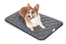 Pad For Dog Crates 24 In