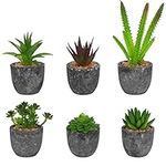 BELLE VOUS Grey Mini Succulent Plants in Pots (6 Pack) - Assorted Plastic Artificial Faux Fake Potted Cactus & Succulents in Plant Pots - Decorative Use for Home, Office, Table & Bathroom