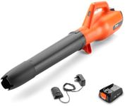 Flymo 18V EasiClear 100 Cordless Garden Blower Kit - With 18V POWER FOR ALL Battery and Charger Included, For Clearing Patios and Gardens of Leaves, Controllable Airflow, Variable Speed