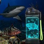 Anywin Shark Gifts Water Bottle, Light Up Drinking Bottles with 3D Shark-14 OZ Tritan BPA Free Eco-Friendly Cool Water Cups Gifts for School Boys Children Christmas Holiday Back-to-school Gift