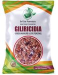 SRI SAI FORESTRY Gliricidia Sepium Tree Seeds (150 Seeds) | For Fodder Manure | Live Fencing of Agriculture Lands