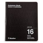 Blueline Columnar Book, Twin-Wire Binding, 16 Columns with Description, 80 Pages, 12-Inch x 10-Inch, Black (A767.16T)