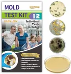 Mold Test Kit for Home Within 12 In