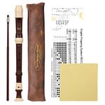 Heysland Descant Recorder Professional Detachable ABS Soprano 8 Hole Baroque Style Recorders Instrument with Thumb Rest Storage Bag Fingering Chart Classroom Wind Instruments Coffe