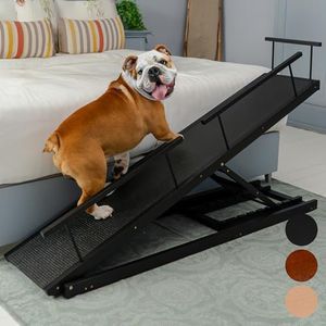 Dog ramp f