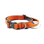 BullyBillows | Dog Collar | 2.5cm Combat® Collar With Handle & Pressure Rated Clip | Suitable For All Dog Breeds | Stainless Steel Dog Collar | Orange XS-M - 14-18" / 34-46cm