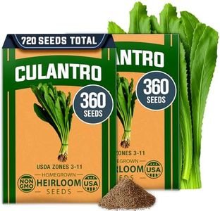 HOME GROWN Culantro Seeds - 720+ 𝗡𝗢𝗡-𝗚𝗠𝗢, 𝗨𝗦𝗔-𝗦𝗢𝗨𝗥𝗖𝗘𝗗 Heirloom Herb Seeds for Planting, Slow-Bolting, Flavorful Cilantro Alternative, Great for Outdoor Herb Gardens (Eryngium foetidum)