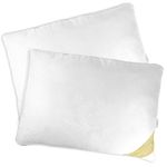 Luxury Pillows 2 Pack - Soft Mulberry Silk Pillow Set for Head & Neck Support - Comfortable & Breathable Hotel Pillows for Better Sleep - Luxury Silk Beddings for Beauty Rest - LuxBedCo 1000g Pillows