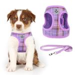 KOOLTAIL Dog Harness for Small Medium Dogs,Dog Harness and Leash Set, Step in No Pull Soft Mesh Padded Adjustable and Reflective Pet Vest Harness Puppy, Plaid Extra Harness for XS S Dogs, Purple S