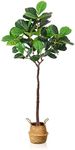 SOGUYI Artificial Fiddle Leaf Fig Tree 7 Feet Tall Fake Plants 59 Leaves Faux Ficus Lyrata Tree in Pot, Come with Woven Seagrass Belly Basket Floor Plants for Home Office Living Room Indoor Decor