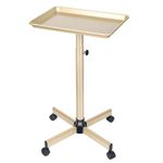 Fuehomue Salon Tray, Champagne Gold Salon Tray, Salon Tray Cart with Adjustable Height, Hair Stylist Tray, Salon Tray on Wheels, Premium Aluminium Tattoo Tray, Suitable for SPA and Dental Tray