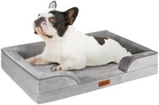 AUSCAT Dog Bed for Small & Medium Dogs -Foam Sofa，Waterproof Lining and Nonskid Bottom Couch